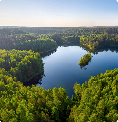 Биоразнообразие Биоразнообразие