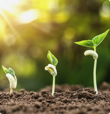 Экологическое образование Экологическое образование